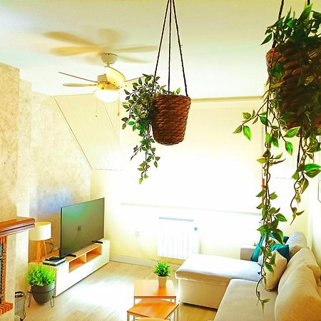 Apartamento Alba Хака Экстерьер фото